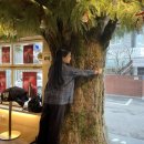 뷰티스토어 | [뷰티 스토어] 아이엠랑데자뷰 한남비자림점 - 한남동 뷰티 스토어 방문 후기