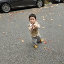 지한약국 이미지