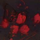 님flower