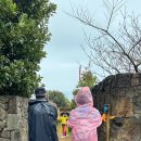 정모시공원 | 또 나만 몰랐지 🙄 _ 제주올레여행자센터 오늘만 워크맨 후기