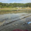 비석농장 이미지