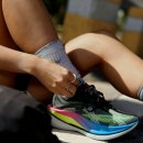 벨로시티 이미지