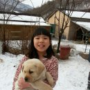 새날공부방 이미지