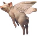 복돼지 네이버블로그