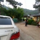 충남농원염소 이미지