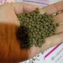 고봉로28길 이미지