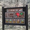 청송자연휴양림 이미지