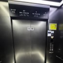 투 | 투루카 “아반떼” 내돈내산 후기!?