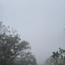 힐스토리1 | 다낭 패키지여행 3일차 선택관광 솔직후기 스톤마사지, 바나힐 아오자이 쇼