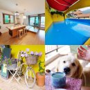 구촌교 | 경북청도펜션, 청도가볼만한곳 더옐로우펜션(노래방, 수영장, 낚시)