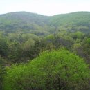 영천댐관광농원 이미지