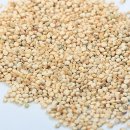 슈퍼짐 헬스휘트니스 이미지