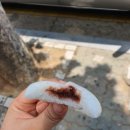 남한산성기정떡