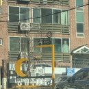 어부지리복어 이미지