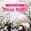 전북 벚꽃명소 이미지