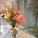 토리헤어아라점 | 전수현웨딩 계약 + 1차촬영 후기 ʕ•ﻌ•ʔ ♡