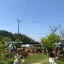 정예농장 이미지