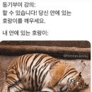 퇴사자 업무까지 도맡아하느라 겜 할 시간이 없음 ;; 이미지