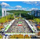 뷰티반려문화 이미지