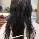 세이미용실 | [목동 미용실] 목동 토니앤가이 레이어드 컷 후기 | 엘리자벳컷으로 차분하게 정리하고 왔어요