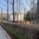 황금공중화장실 이미지