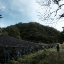 창진농장 이미지