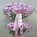(주)케이앤디