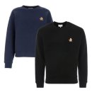 세미폭스 이미지