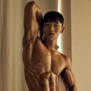 헤일로 피트니스 네이버블로그