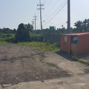 표선면-2 이미지