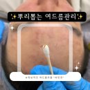 평택성동초등학교 이미지