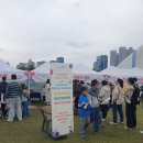 무지개유치원(글로벌동심) | 연수 능허대 문화축제 인천 글로벌 캠퍼스 캐릭터 솜사탕 &amp; 무지개 솜사탕 만들기 체험 무료 행사 후기