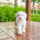 서랑목장 이미지