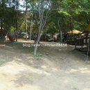 아프리카예술박물관 캠핑장 이미지