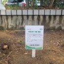 수내1동 주민센터 이미지