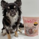 판타펫코리아 | 강아지 고양이 동결건조 간식 정글키친 눈꽃 덕텐더 제품협찬 후기