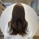 멍멍이 미용실 이미지