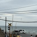 만궁 | 도쿄 가마쿠라 당일치기 솔직후기, 쓰루가오카하치만궁