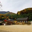 구름타고온선녀 이미지