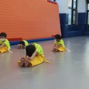 한국체대 천마태권도 이미지