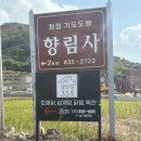 실안길314 이미지