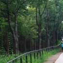 도봉-도봉-서울도봉-2514 이미지