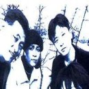 사람과나무 Daum카페