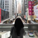 달호식당 | 홍콩 4박5일 여행｜2️⃣일차