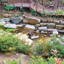 운수천계곡(1) 이미지