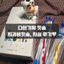 다온한울 칫솔 / 치과용칫솔 사용후기 + 치실