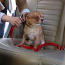 고덕 동물의료센터 이미지