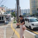 고은동물병원 | 마산동물병원 고은동물병원 일요일진료가능한곳