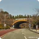 부산과학관 4층 | 국립부산과학관 천문대에서 태양관측 부산실내가볼만한곳