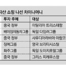 중동차이나 이미지